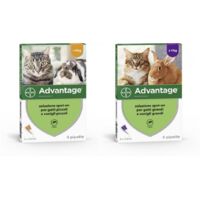 BAYER ADVANTAGE SPOT ON 40 GATTI FINO A 4 KG