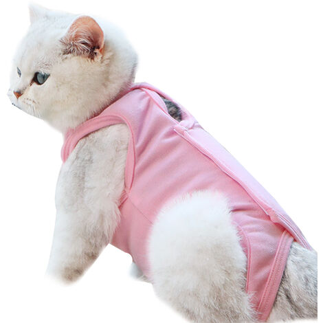 Cat hotsell surgery suit