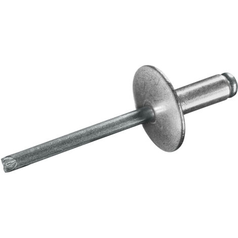 GOEBEL - 250 x Großkopf Nieten Aluminium / Stahl (Ø x L) 4,8 x 14,0 mm mit  Großkopf - Großkopf Nieten - Popnieten - STANDARD