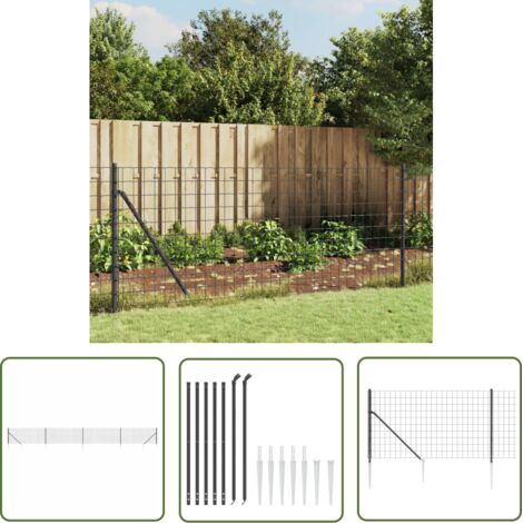 Clôture en treillis Clôture de jardin Clôture Grillage métallique et ancrage anthracite 0,8x10 m 27575 (1/5)