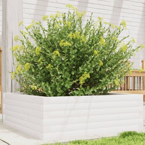Jardinière-Pot de fleur blanc 70x70x23 cm bois de pin massif (1/5)