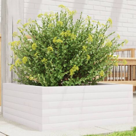 Jardinière-Pot de fleur blanc 60x60x23 cm bois de pin massif (1/5)