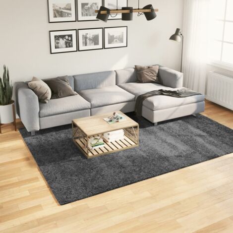 Tapis-Tapis de salon-Tapis Chambre OVIEDO à poils courts anthracite 200x280 cm 930148 (1/5)