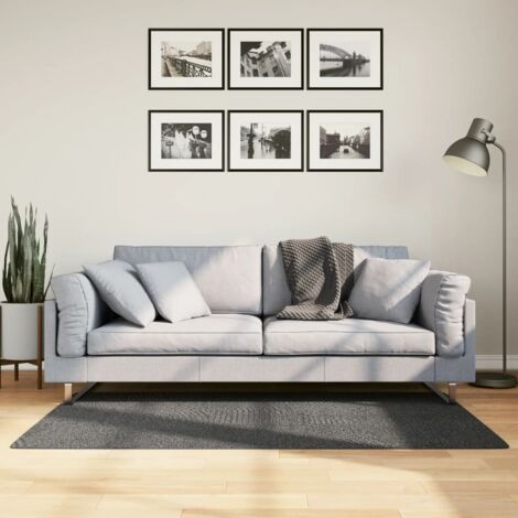 Tapis-Tapis de salon-Tapis Chambre IZA poils courts style scandinave anthracite 80x150 cm 251796 (1/5)