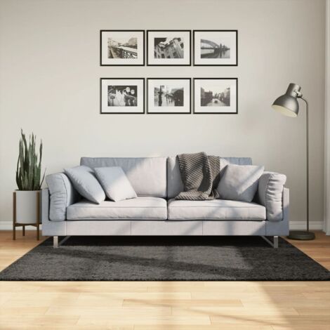 Tapis-Tapis de salon-Tapis Chambre ISTAN à poils longs aspect brillant anthracite 120x170 cm 249414 (1/5)