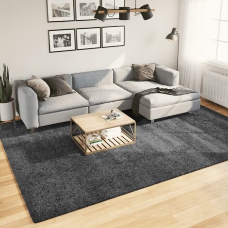 Tapis-Tapis de salon-Tapis Chambre OVIEDO à poils courts anthracite 240x340 cm 649391 (1/5)