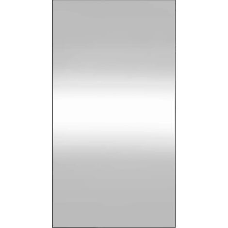 Miroir mural Luxueux, Miroir chambre, 50x100 cm Verre Rectangulaire OIB9108E
