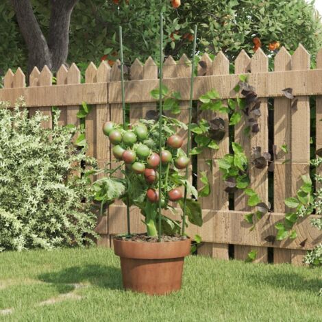 Supports pour plantes de jardin 3 anneaux 5 pcs - Support Plante Vert 60 cm Acier BV939063 - BonneVie (1/5)