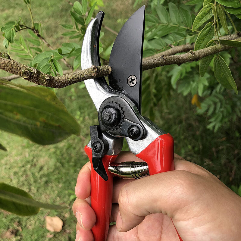 Sécateur de jardin, sécateur d'enclume, 215 mm de bois vert et sec Bypass  Cut Flower Scissors, Noir