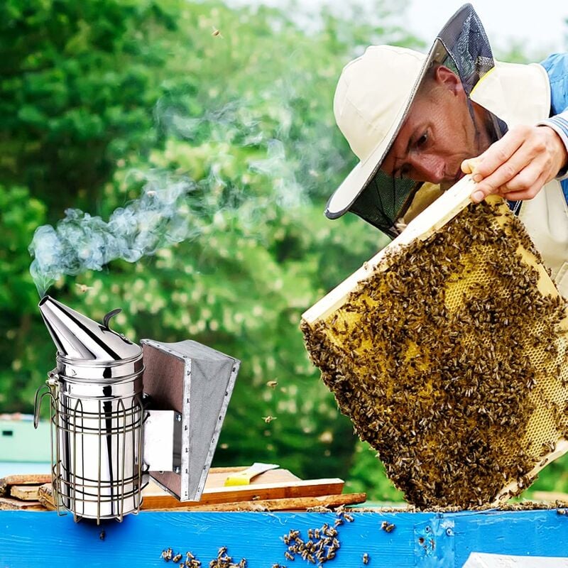 équipement d'apiculture, Grande Taille en Acier Inoxydable Robuste,  Soufflet à Circulation d'air Supérieure