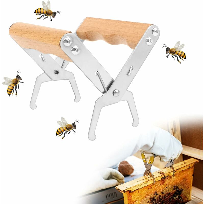 PROBEEALLYU Clip pour Cadre Beehive, Pince pour Cadre Beehive en Acier  Inoxydable avec Pince pour Cadre Hive Beehive, Outil pour l'apiculture  Beehive