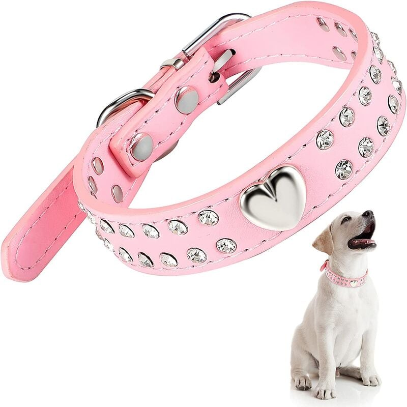 Airtag Dog Harness And Leash Set Mascotas Collier Pour Chien