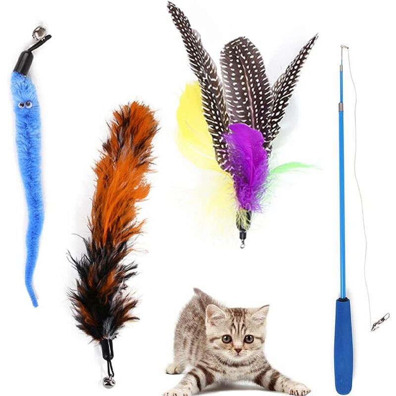 Jouet coloré de chat de ressort coloré en plastique de grande dureté pour  animaux de compagnie jouant des jouets pour le chaton