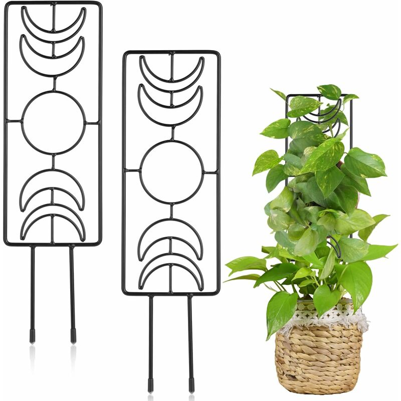 Support arceau pour plante - Suan - Accompagnement à la pousse - Dimensions  : 39 x 190 cm