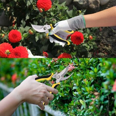 Ciseaux de jardin portables outil de greffage sécateur d'arbres fruitiers  sécateurs à bonsaï sécateurs de jardin sécateur de jardinage 