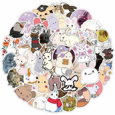 Lapin autocollant ordinateur portable 50pcs, mignon lapin autocollant  bouteille d'eau Cartoon lapin autocollant, skateboard