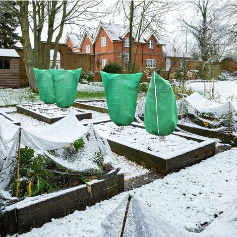 Film de protection pour arbre résistant à l'hiver - Bandage d'emballage  pour plantes - Garde au chaud - Hydratant - 20 m - 13 cm - 2,5 mm :  : Terrasse et Jardin