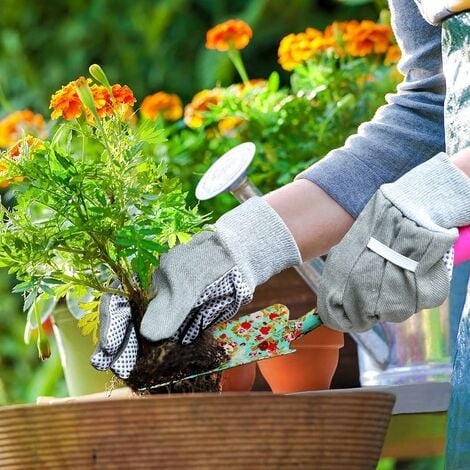 Le kit du jardinier : les outils basiques de jardinage