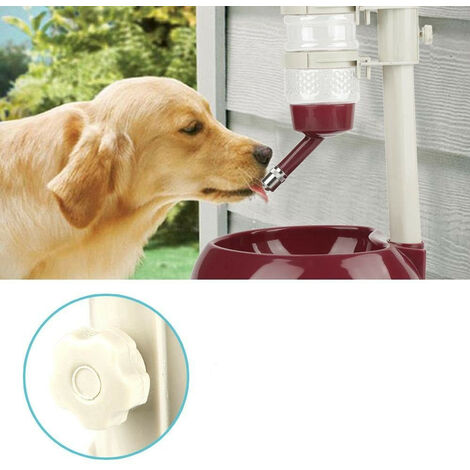 Gourde à Bille pour Chien 500ml