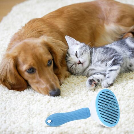 Brosse Animaux - Chien - Chat - Lapin - Animal de compagnie - Brosse - Soin  du pelage