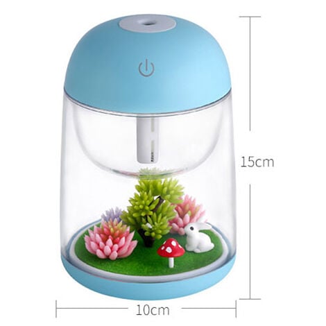 Humidificateur de paysage miniature, mini humidificateur, humidificateur de  voiture, humidificateur d'air, humidificateur de bureau pour chambre d'enfant  humidificateur à brume froide (blanc) 