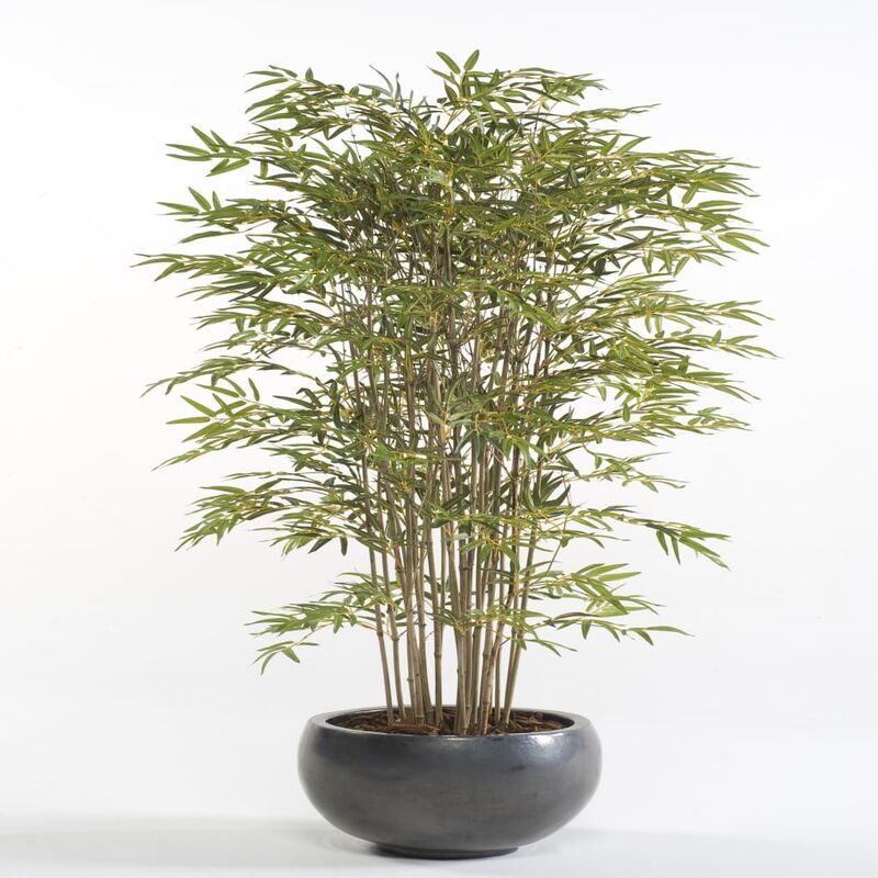 Plante artificielle d'intérieur haie de Bambou Japonais sur