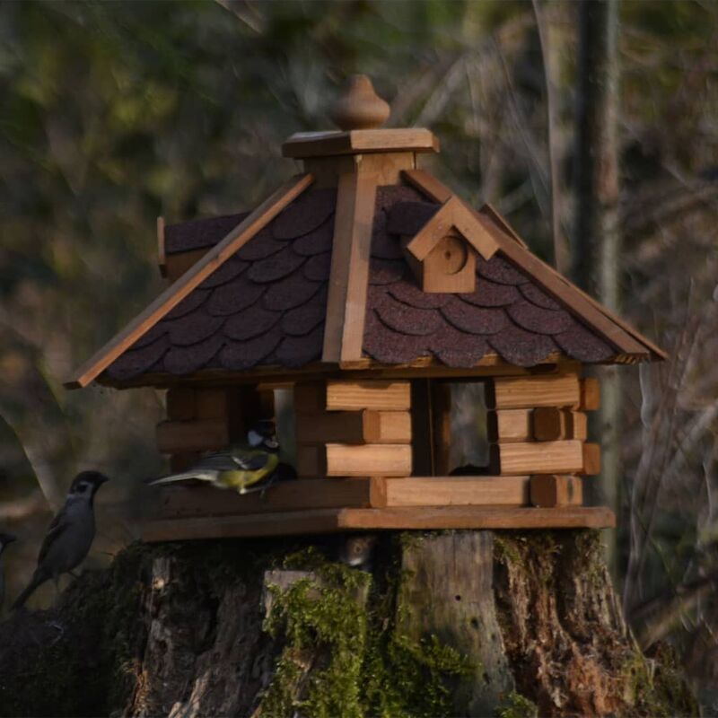 Nichoir Oiseaux Exterieur Mesange, Voliere Oiseaux Exterieur Bois, Maison  Oiseaux Exterieur Suspendue, Cabane Oiseaux en Bois, Nichoir à Oiseaux  Massif Verni du Jardin Sauvages Mesange Rouge Gorge : : Jardin