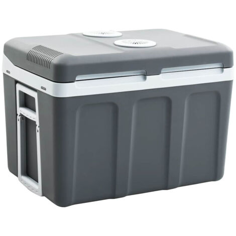 Glacière portable thermoélectrique 40 L 12 V 230 V E vidaXL