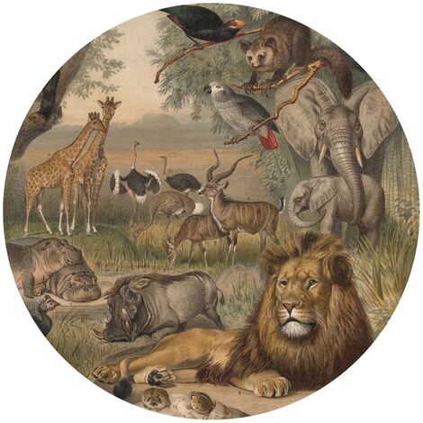 Papier peint cercle Animals of Africa 142,5 cm WallArt