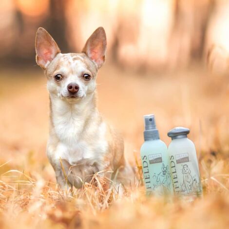Shampoing et spray pour chiens pour soin complet 2x250 ml Greenfields