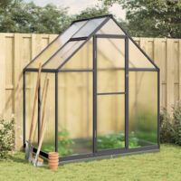 Vidaxl – Serre de jardin polycarbonate 169x114x202 cm – Cadre aluminium anthracite – Résistance aux intempéries et UV – Système d'assemblage rapide