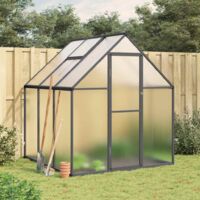 Vidaxl – Serre de jardin polycarbonate 169x169x195 cm – Cadre en aluminium anthracite – Panneaux résistants aux UV – Système d'aération réglable