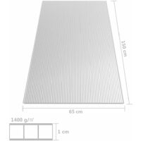 Feuilles de polycarbonate 2 pcs 10 mm 150x65 cm