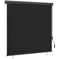 Store roulant d'extérieur 160x250 cm Anthracite vidaXL