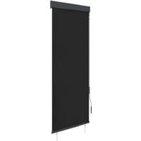 Store roulant d'extérieur 60 x 250 cm Anthracite vidaXL