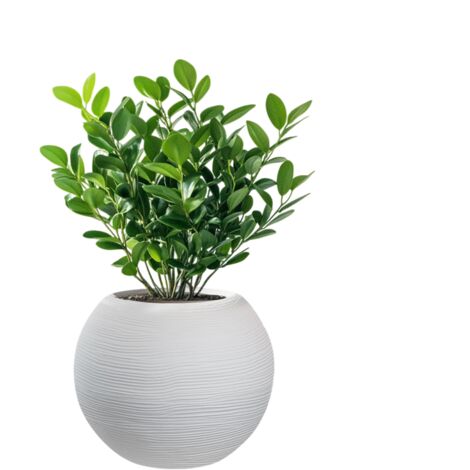 Vaso in resina da esterno interno per piante tondo a sfera di design d.40x33h Botticelli Bianco
