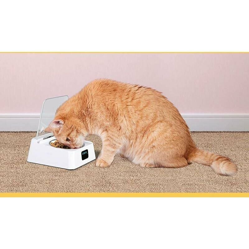 Sensor best sale pet feeder