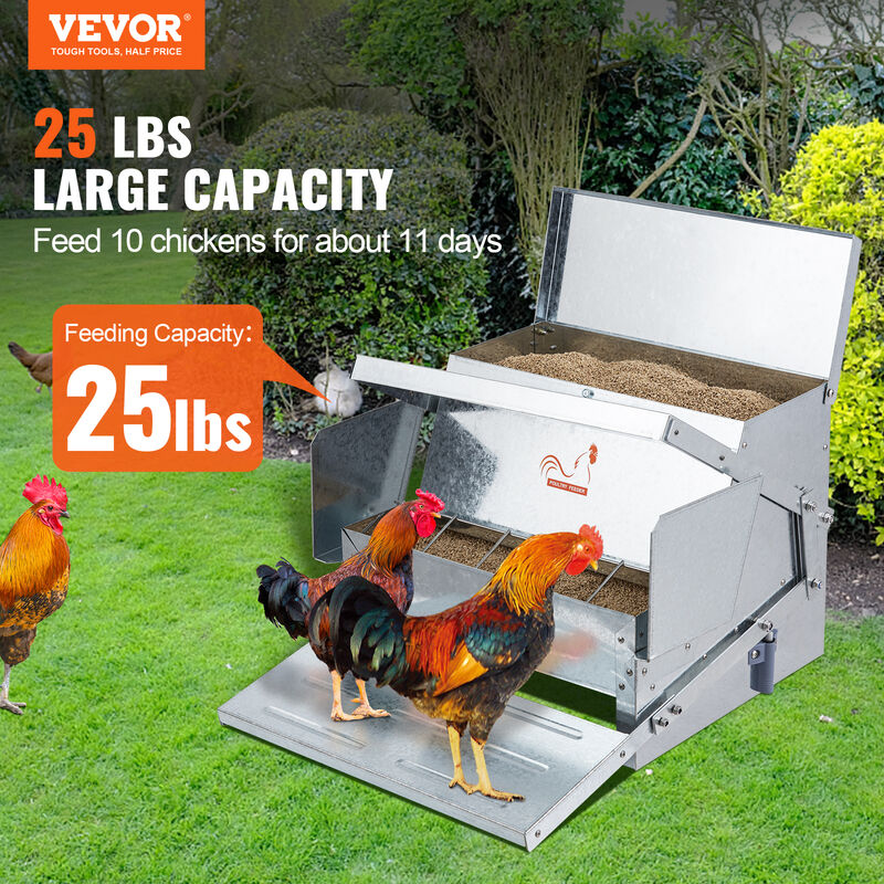 VEVOR Mangeoire à Poules Capacité 11 kg Mangeoire Automatique pour VEVOR Mangeoire à Poules Capacité 11 kg Mangeoire Automatique pour