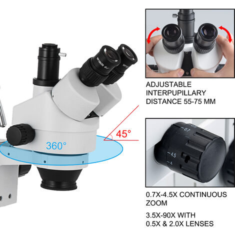 AmScope SM-4B Microscopio Stereo 7X-45X - Doppio Braccio Con Base Solida