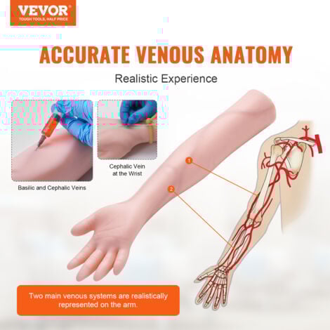 VEVOR Bras deEntrainement pour Perfusion Intraveineuse en PVC, Bras de Formation Haute Simulation avec Sac de Transport, Bras de Pratique de Ponction Veineuse pour Etudiants et Infirmieres Ecoles