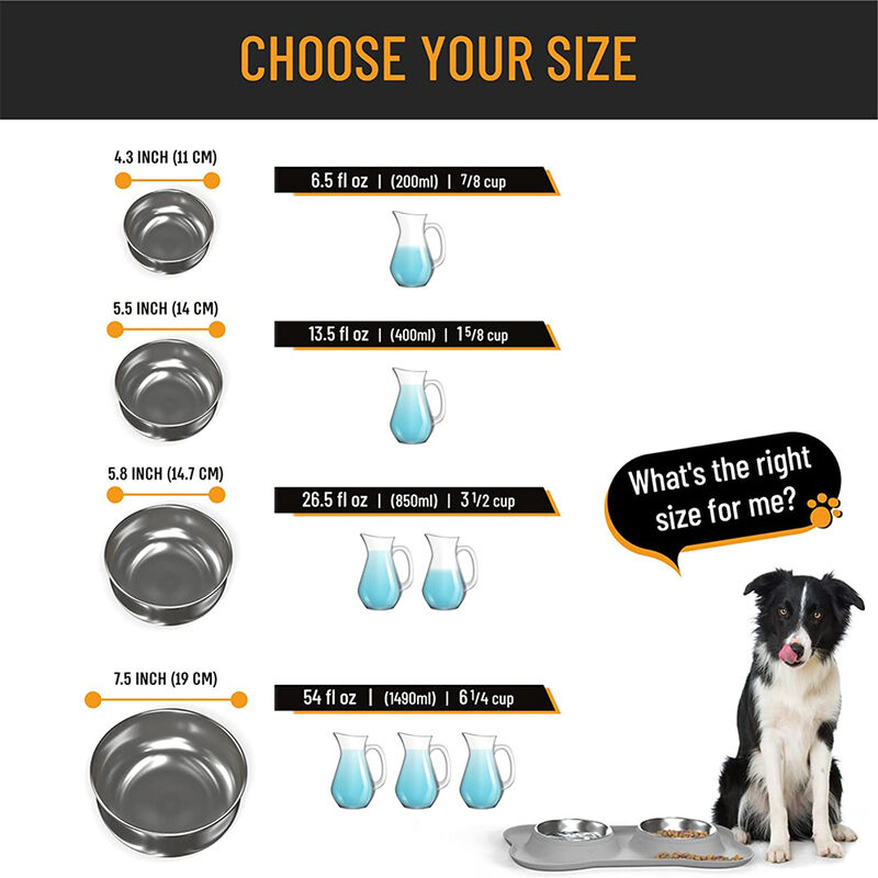 Pet Deluxe Dog Bowls Stainless Steel Dog Bowl with No Spill No Skid  Silicone Mat, 24/48 oz Dog Food and Water Bowl Set Double Dog Feeder Bowl  Dog Dish