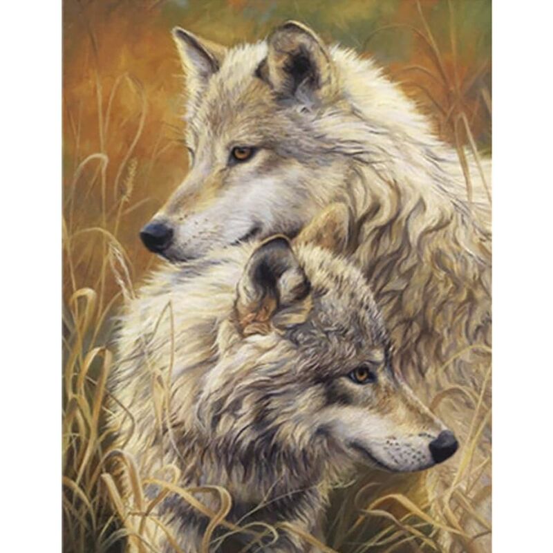 wolf - Paint by Numbers Kit – I Love DIY Art