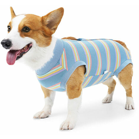 Medium size 2024 dog jacket