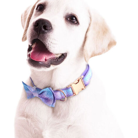  Dog Collar for Small Medium Large Dogs Pet Collars