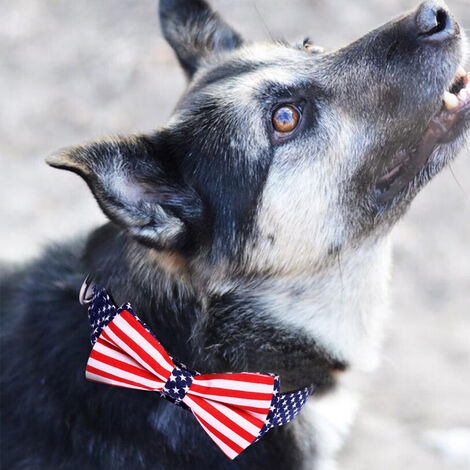 Blueberry Pet American Flag Bowtie Dog Collar