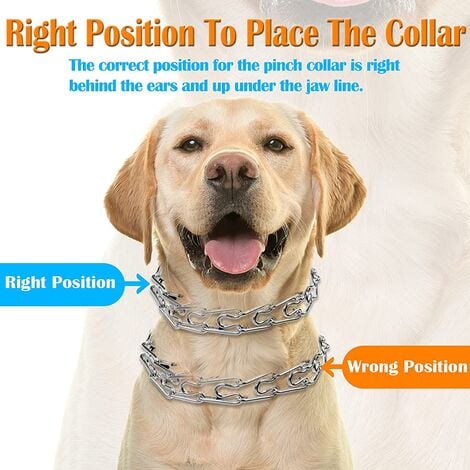 Little dog clearance training collar