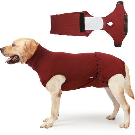 Surgical onesies hot sale for dogs