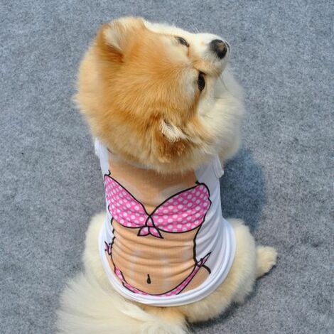 Female dog clearance clothes and accessories