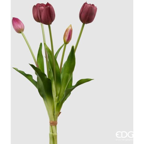 EDG Bouquet 5 Tulipani Olis Chiusi Violet Gomma  H 40 Cm