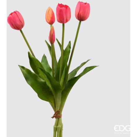 EDG Bouquet 5 Tulipani Olis Chiusi Gomma Beauty H 40 Cm